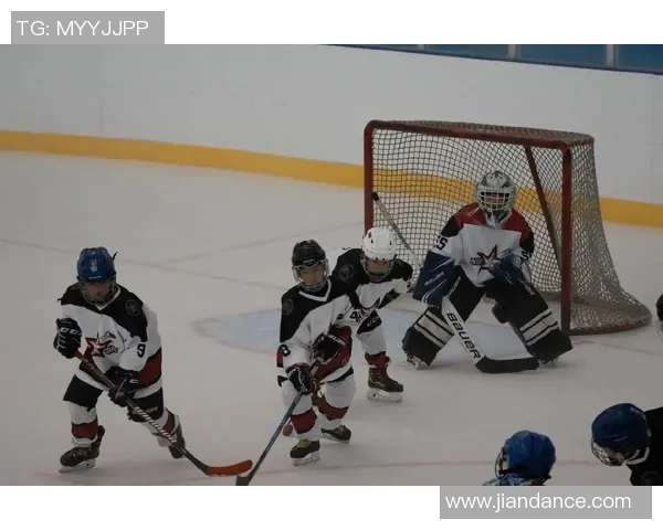 冰球比赛中守门员扑救选择行为与进攻模式的相互作用与对比分析